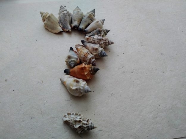 doula or dont ya HART Holistic support doula birth