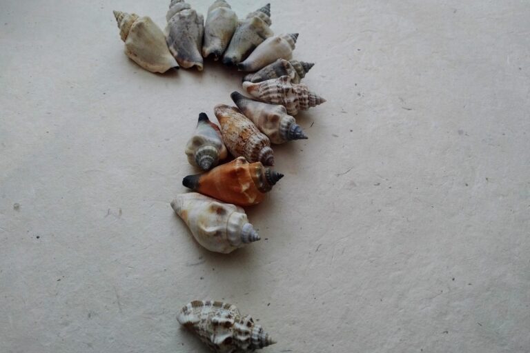 doula or dont ya HART Holistic support doula birth