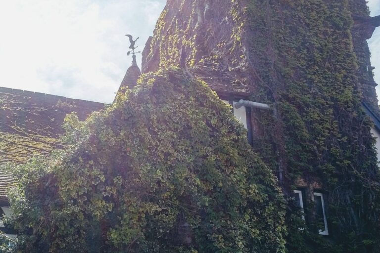 IMG_20170516_1141126